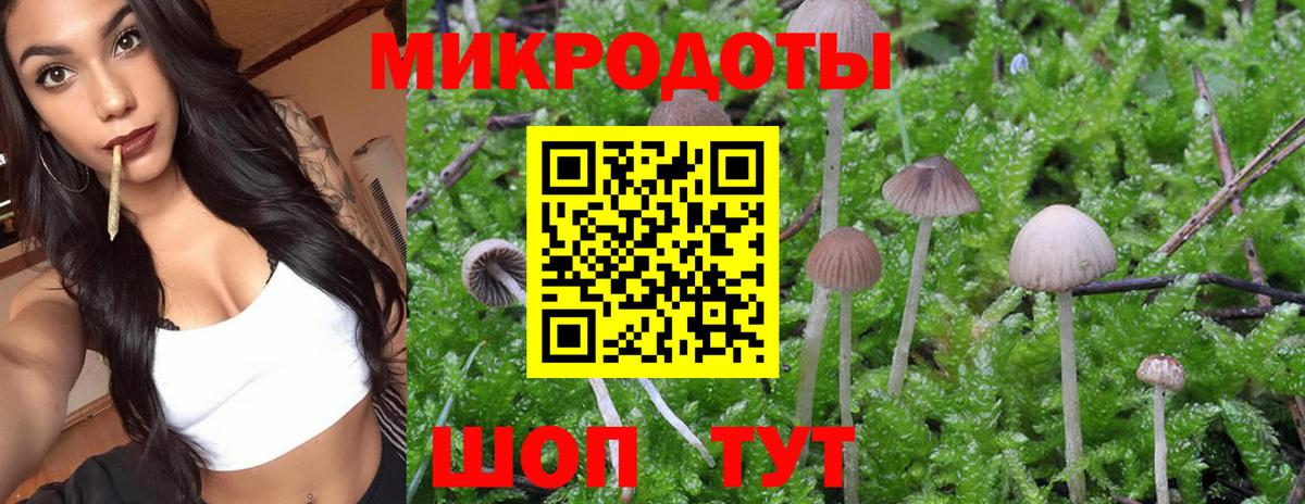 Стрежевой  Галлюциногенные грибы Cubensis  Псилоцибиновые грибы Psilocybe  Вход с VPN 
