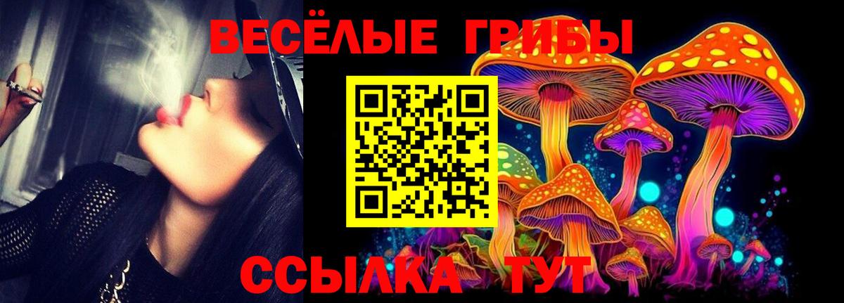 Псилоцибиновые грибы GOLDEN TEACHER Стрежевой
